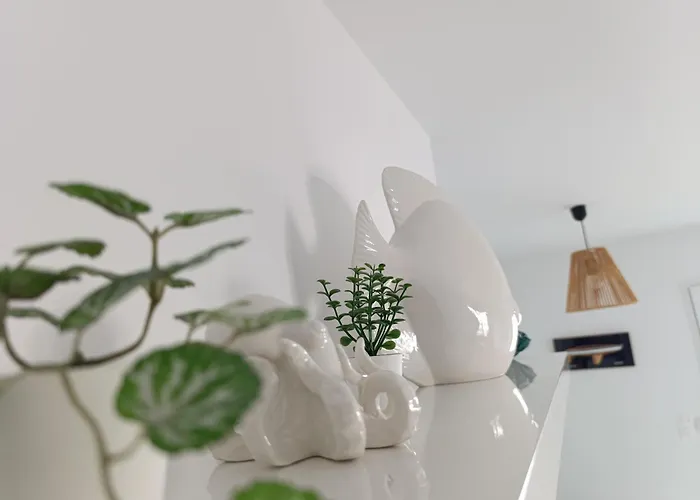 Des Haras * Châtelaillon-Plage